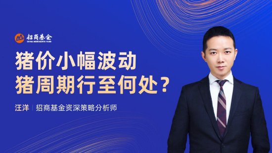 6月26日华夏广发招商博时南方等基金大咖说：风口上的半导体，如何借“基”上车？港股反弹如何把握？
